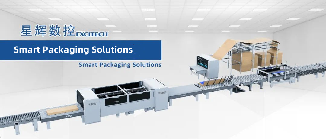 آلة تغليف كرتونية متعددة الوظائف تم تطويرها بواسطة EXCITECH.